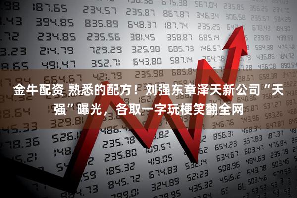 金牛配资 熟悉的配方！刘强东章泽天新公司“天强”曝光，各取一字玩梗笑翻全网