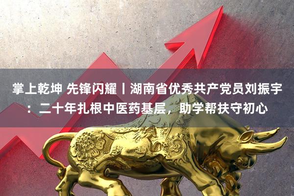 掌上乾坤 先锋闪耀丨湖南省优秀共产党员刘振宇:二十年扎根中医药基层,助学帮扶守初心