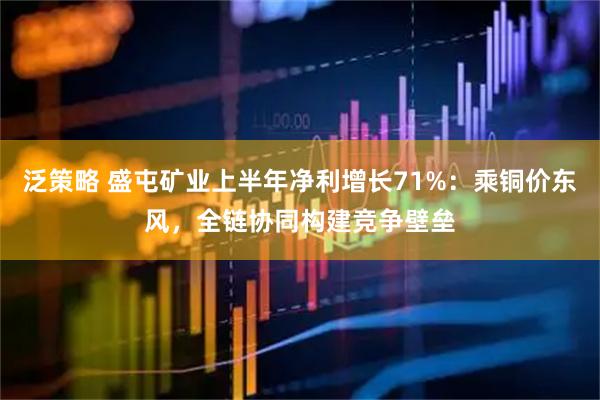 泛策略 盛屯矿业上半年净利增长71%：乘铜价东风，全链协同构建竞争壁垒