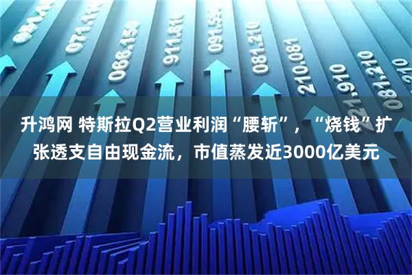 升鸿网 特斯拉Q2营业利润“腰斩”，“烧钱”扩张透支自由现金流，市值蒸发近3000亿美元