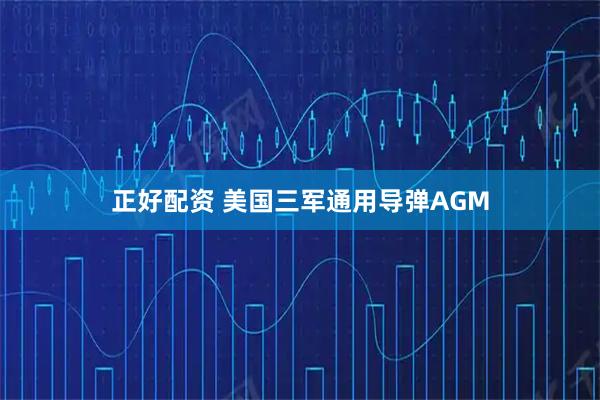 正好配资 美国三军通用导弹AGM