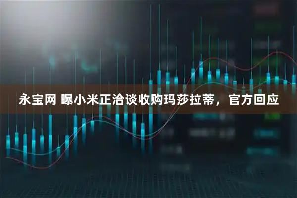 永宝网 曝小米正洽谈收购玛莎拉蒂，官方回应