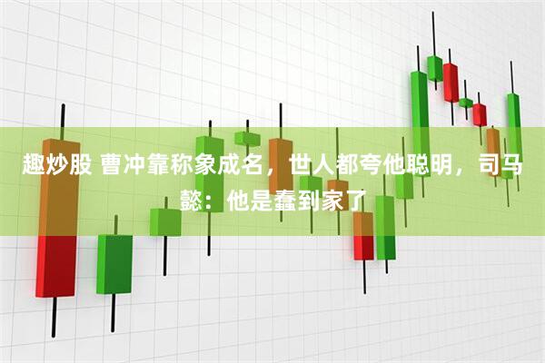 趣炒股 曹冲靠称象成名，世人都夸他聪明，司马懿：他是蠢到家了