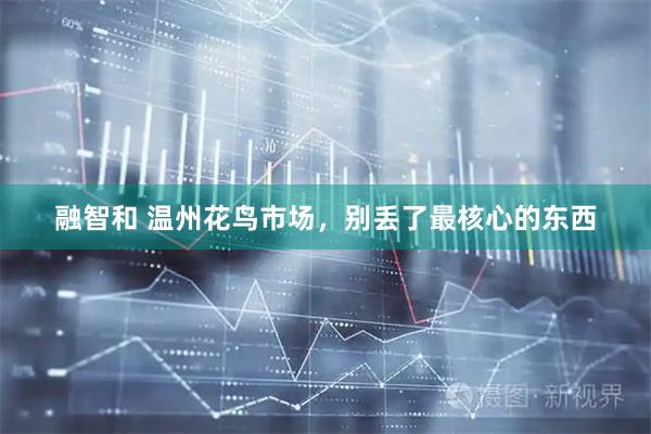 融智和 温州花鸟市场，别丢了最核心的东西