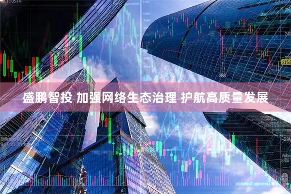盛鹏智投 加强网络生态治理 护航高质量发展